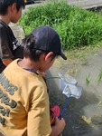 暑いなぁ…夏だもんなぁ…笑
