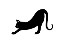 背伸びの重要性（笑）